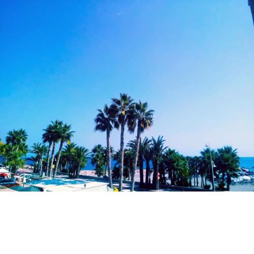 APARTAMENTO TROPICANA
