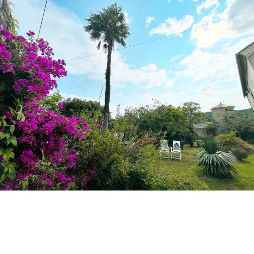 Apartamento turístico - Los Gayoles Rural