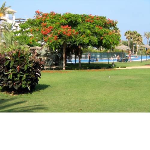 Apartamento VenAVera Playa Jardines de Nuevo Vera L1-1D Primera Línea WIFI