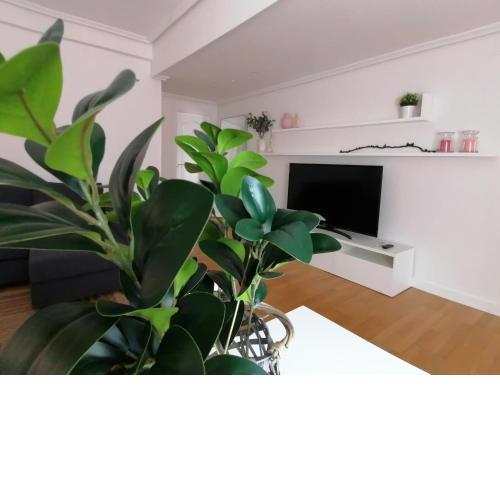 Apartamento Vicario