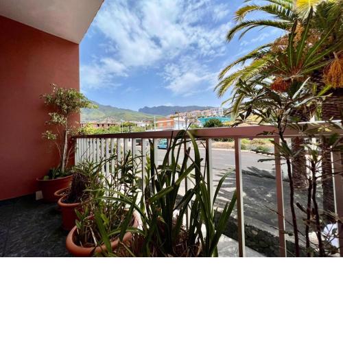 Apartamento Virginia