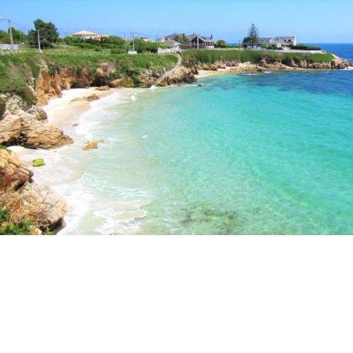 APARTAMENTO VISTAS AL MAR