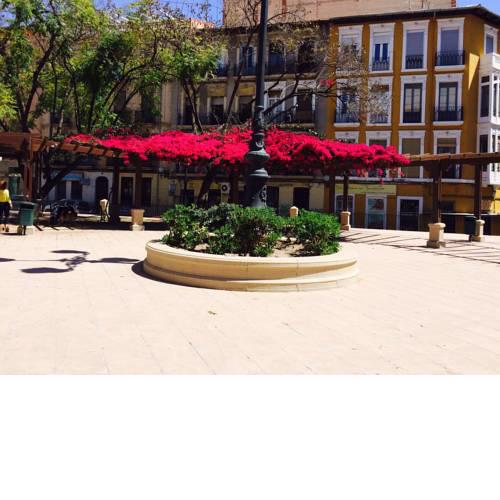 Apartamentos Benito Perez