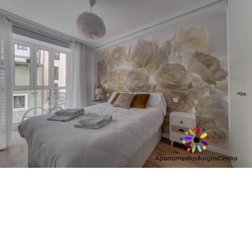 Apartamentos Burgos Centro - Hospital de los Ciegos
