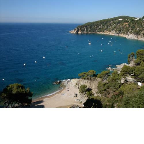 Apartamentos Cala Llevado