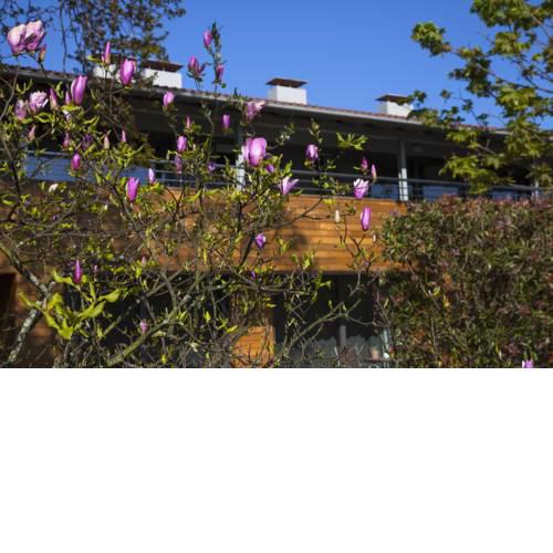 Apartamentos Casona de la Paca