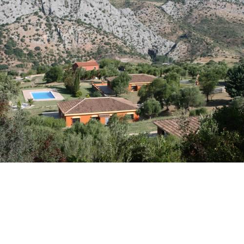 Apartamentos Cedro Alto