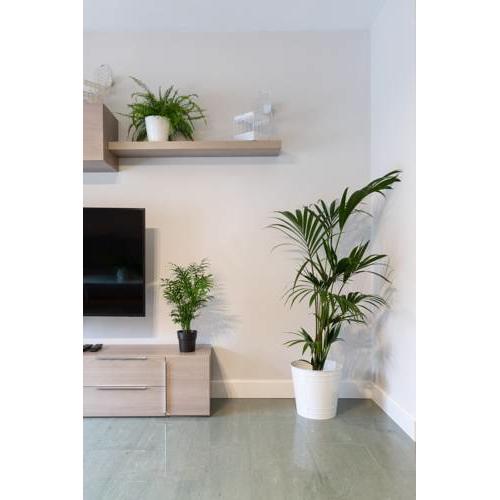 Apartamentos Circulo De Artistas