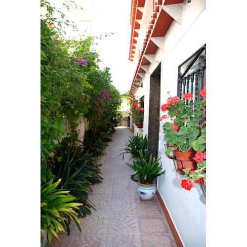 Apartamentos Inter Gandia Playa