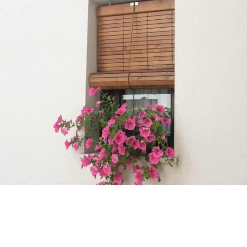 Apartamentos La Ribera Córdoba