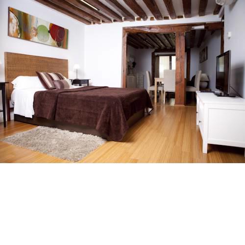 Apartamentos Madrid Huertas