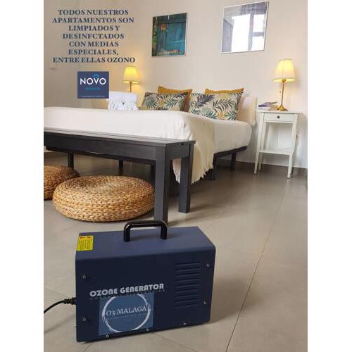 Apartamentos Málaga Picasso