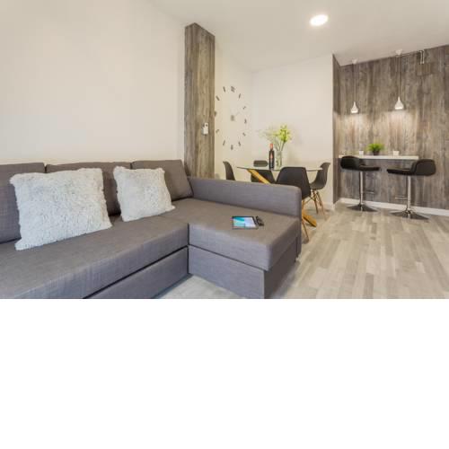 Apartamentos Nevada Suite