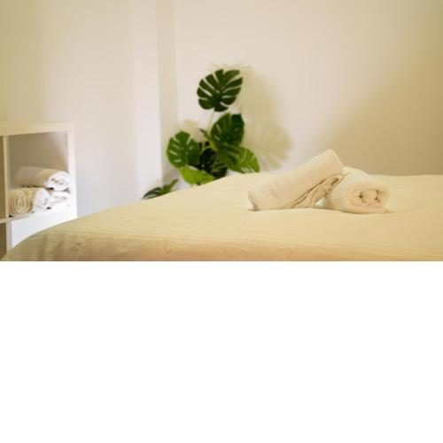 Apartamentos Nueva 11