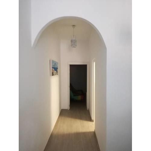 Apartamentos palmera