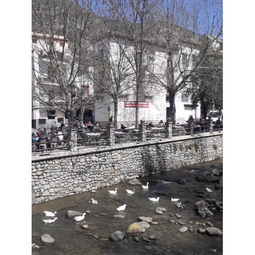 Apartamentos Pinos Genil