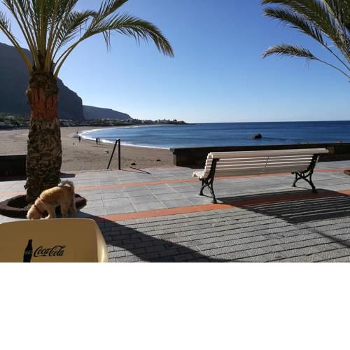 Apartamentos Playamar