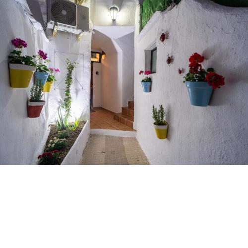 Apartamentos Resil center