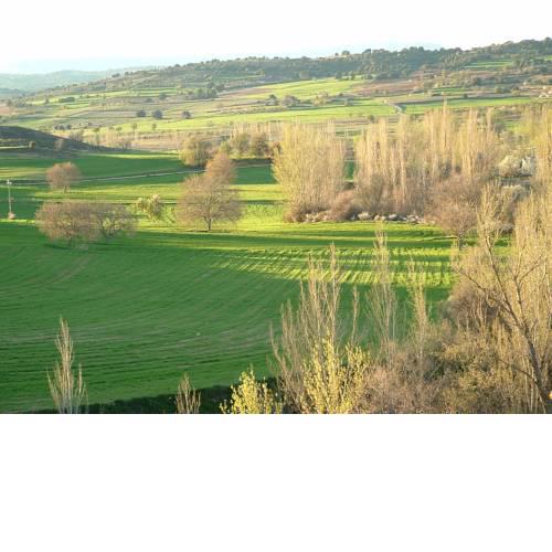 Apartamentos Serrano