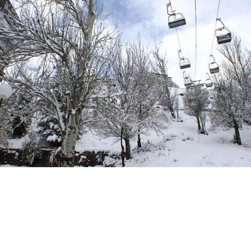 Apartamentos Surynieve Zona Media