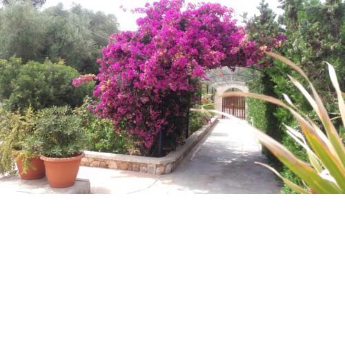 Apartamentos Villa Primera