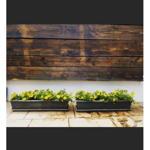 Apartamentosdaroca