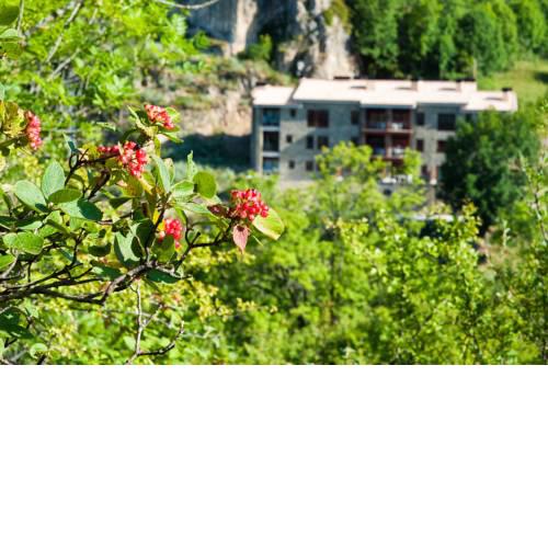 Apartaments Flor De Neu