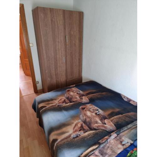 Apartaments lux aluche