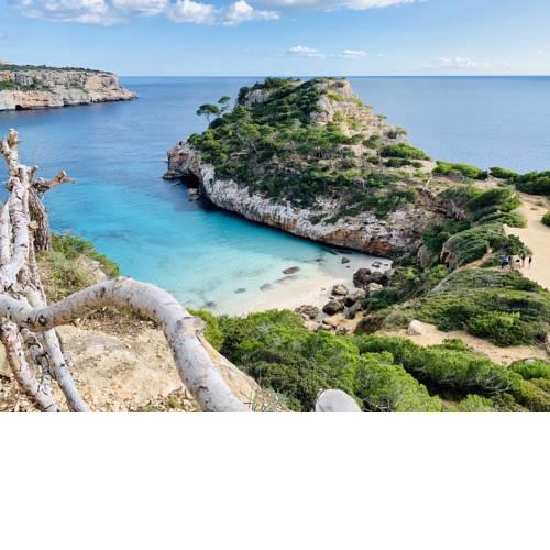Apartaments Marina Sol i Pins
