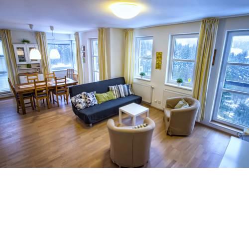 Aparthotel Klínovec Views - Mezonet Apt with Sauna K2