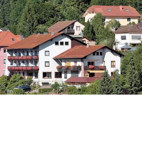 Aparthotel Schwarzwald Panorama
