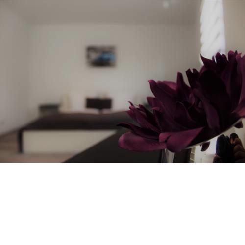 Aparthotel ZOE Elversberg