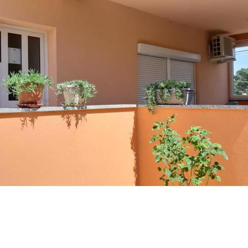 Apartman B&D