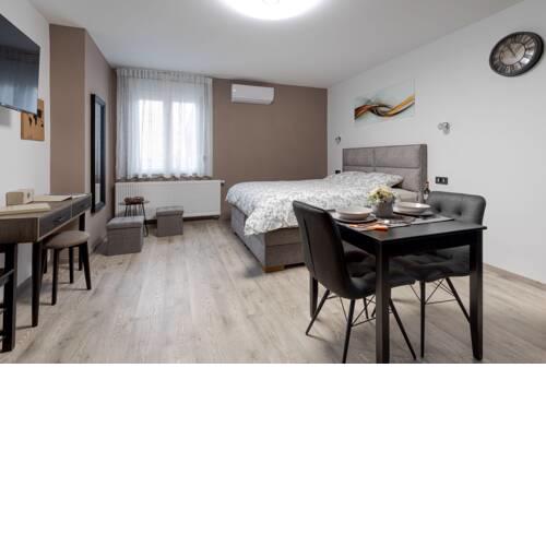 Apartman DOWNTOWN DL