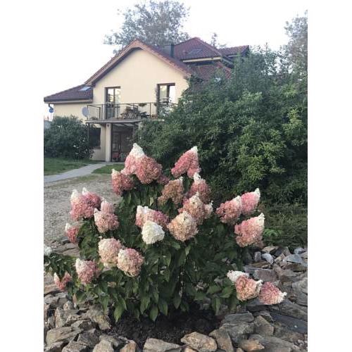Apartman Harmonia Prazska
