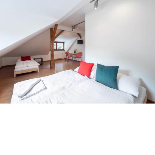 Apartmán Muzeum obchodu 1