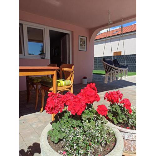Apartman Nola