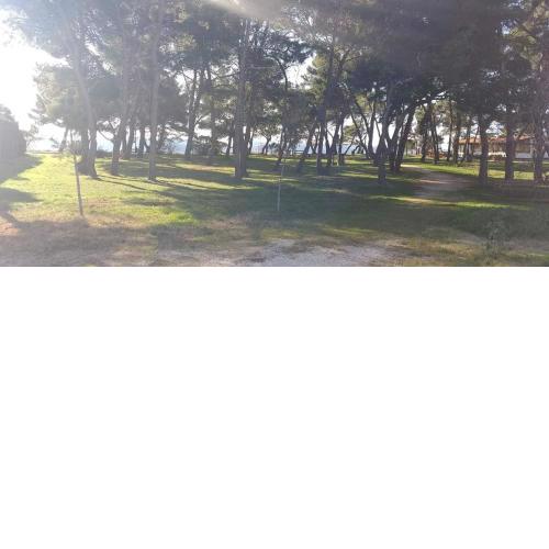 Apartman Petar