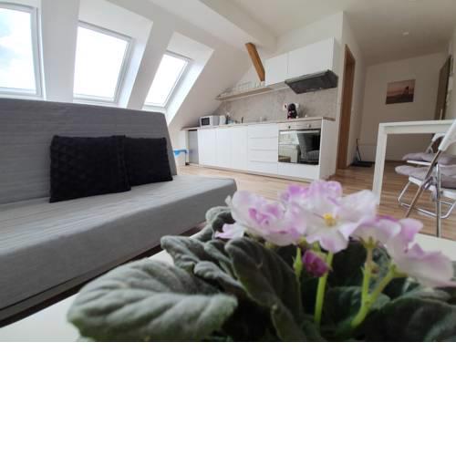 Apartmán Skryjova