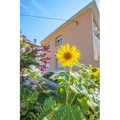 Apartman Studio Nena Crikvenica
