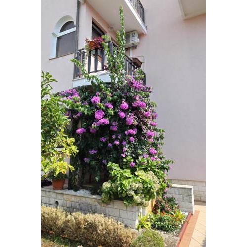 Apartman Sweet Mary
