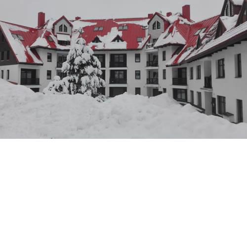 Apartmán U borovic