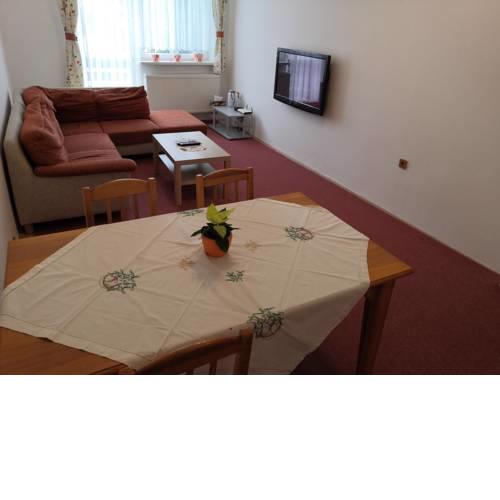 Apartmán U Dvou kocourů