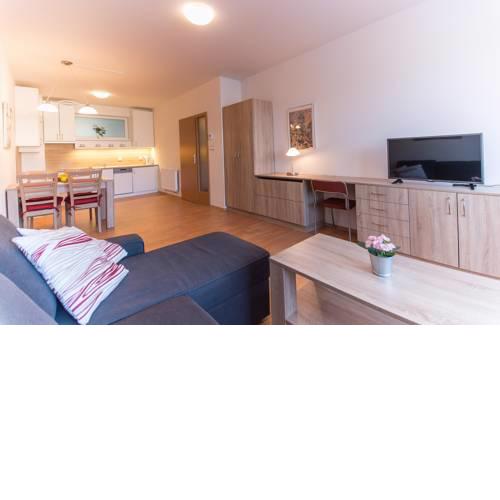 Apartmán U Lázní D23