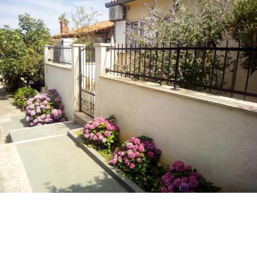 Apartman Vida