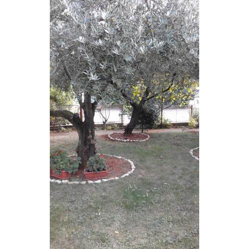 Apartmani DONNA