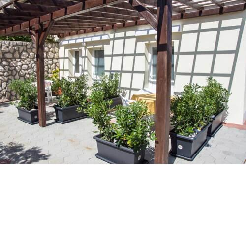 APARTMANI MARIJA LJUBICA