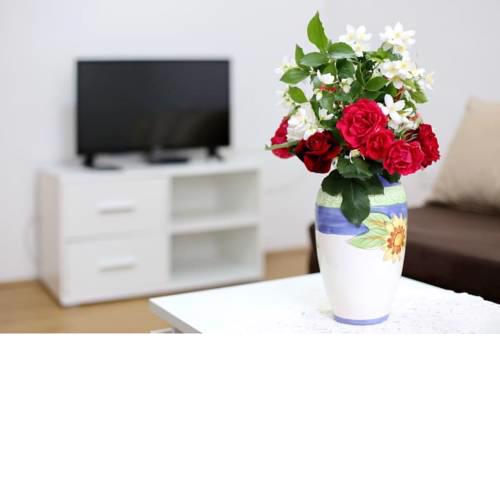 Apartmani Mlinar9