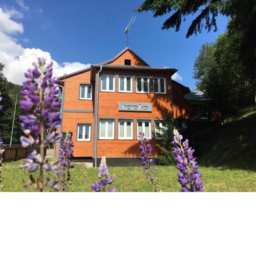 Apartmánový dům HORALKA