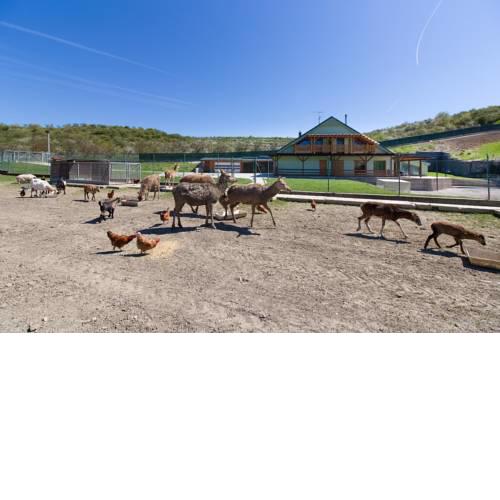 Apartmány na Farmě